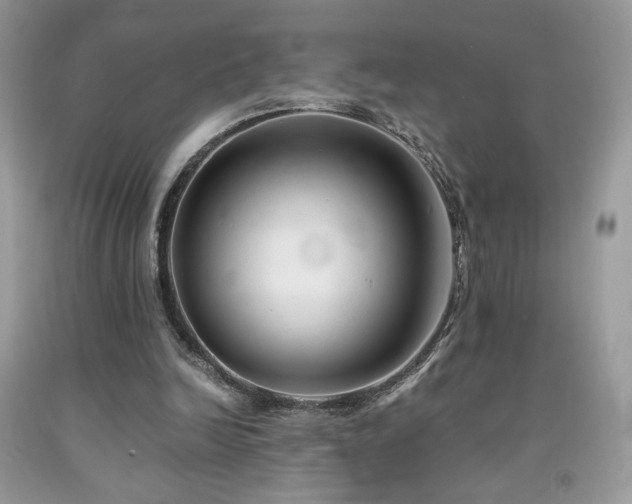 X0000092020246200709061559