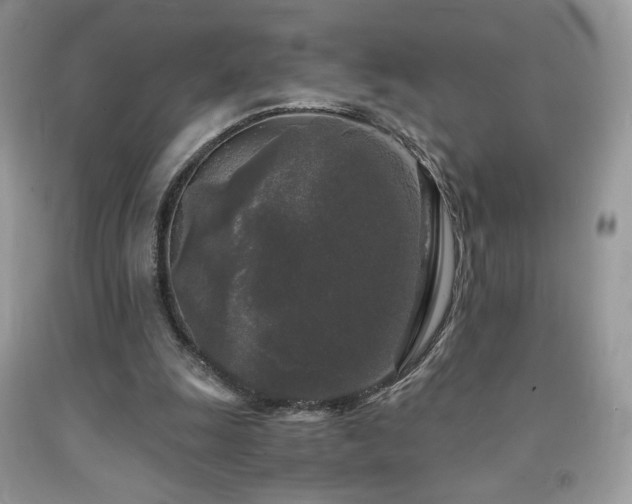 X0000092020247200709061559