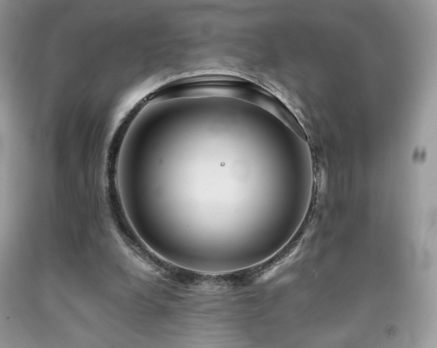 X0000092020248200709061559