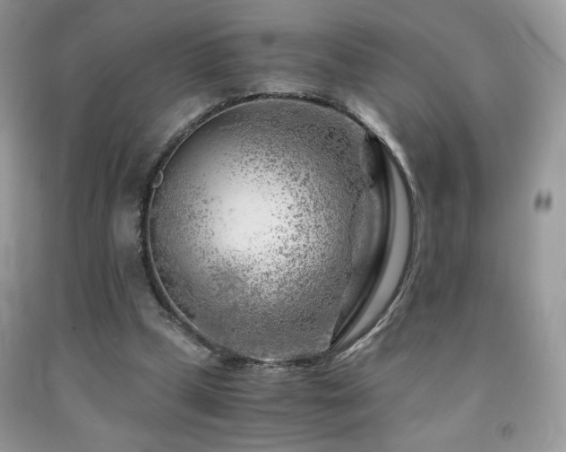 X0000092020249200709061559