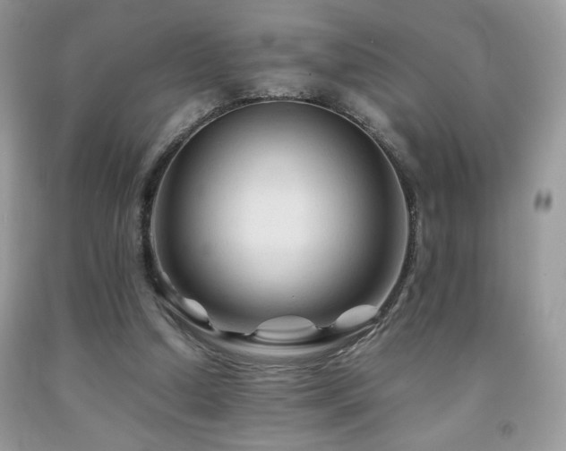 X0000092020250200709061559
