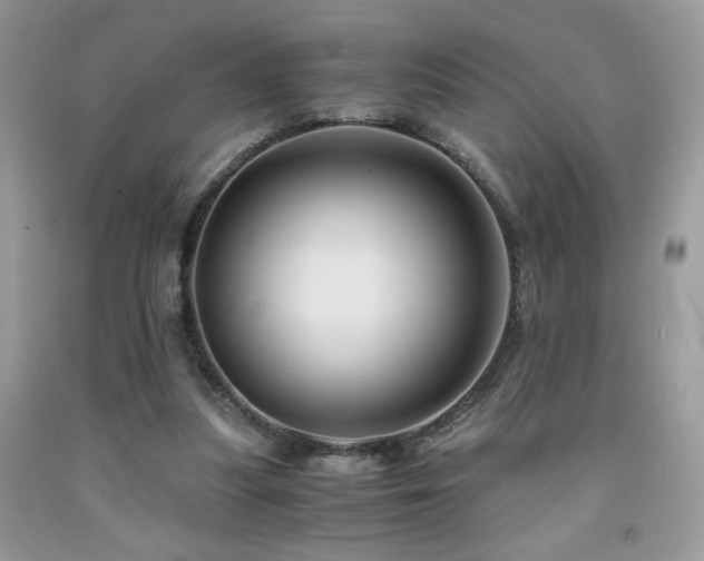 X0000092020251200709061559