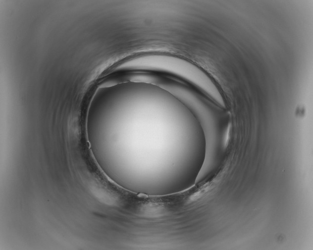 X0000092020252200709061559