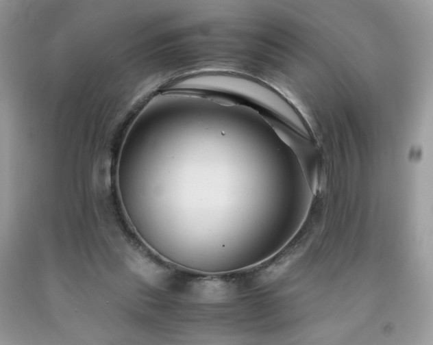 X0000092020253200709061559