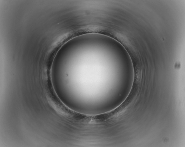 X0000092020254200709061559
