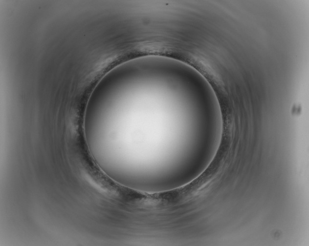 X0000092020255200709061559