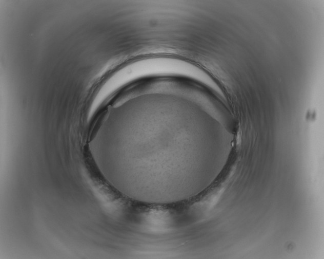 X0000092020256200709061559