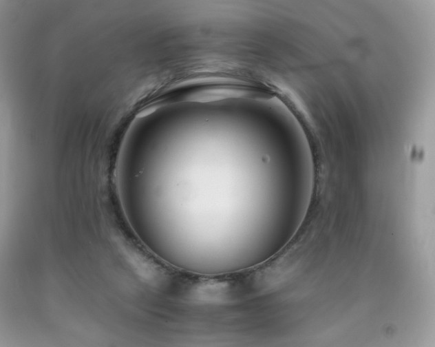 X0000092020257200709061559