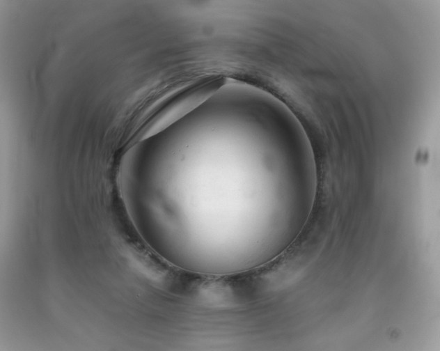 X0000092020258200709061559