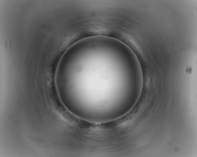X0000092020259200709061559