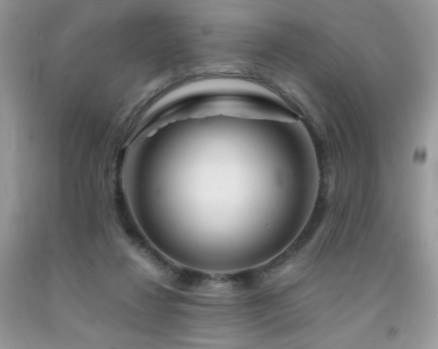 X0000092020260200709061559