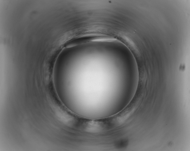 X0000092020261200709061559