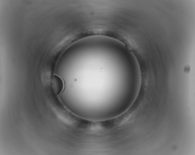 X0000092020262200709061559