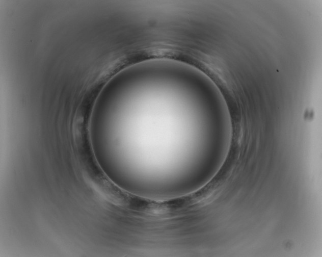 X0000092020263200709061559