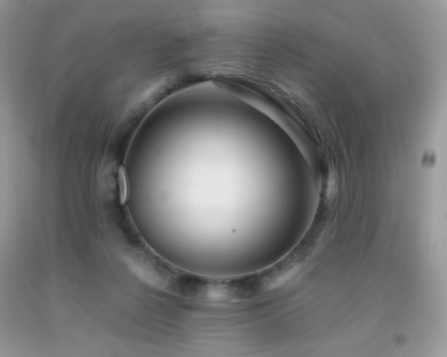 X0000092020264200709061559