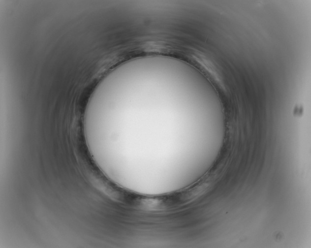 X0000092020265200709061559