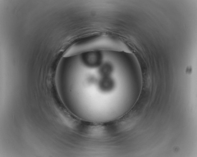 X0000092020266200709061559