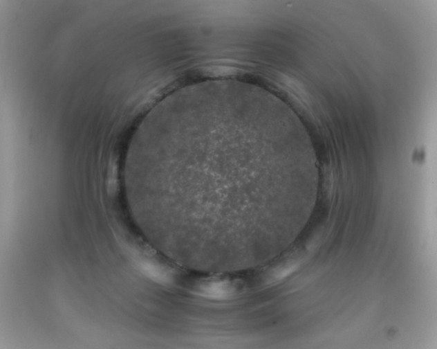 X0000092020267200709061559