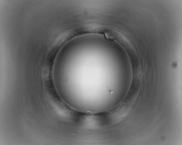X0000092020268200709061559
