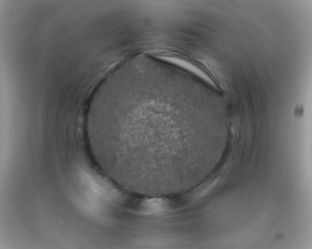 X0000092020269200709061559