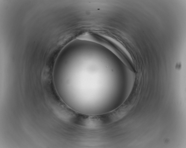 X0000092020270200709061559