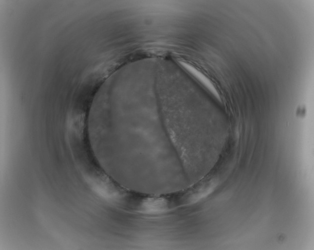 X0000092020271200709061559