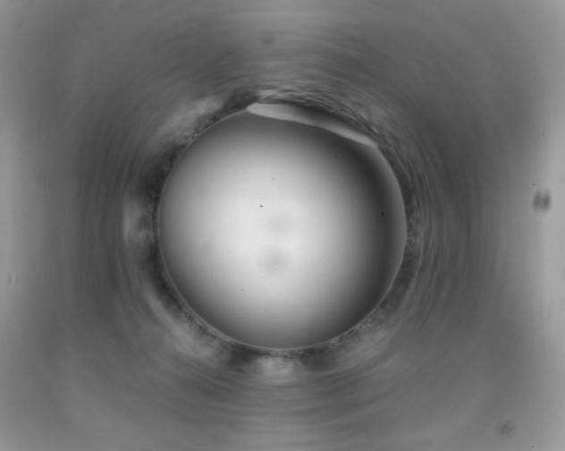 X0000092020272200709061559