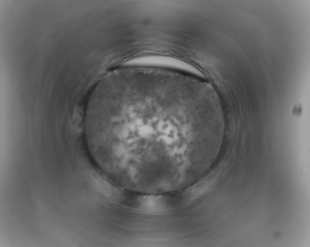 X0000092020273200709061559
