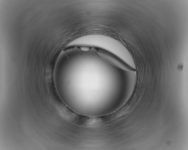 X0000092020274200709061559