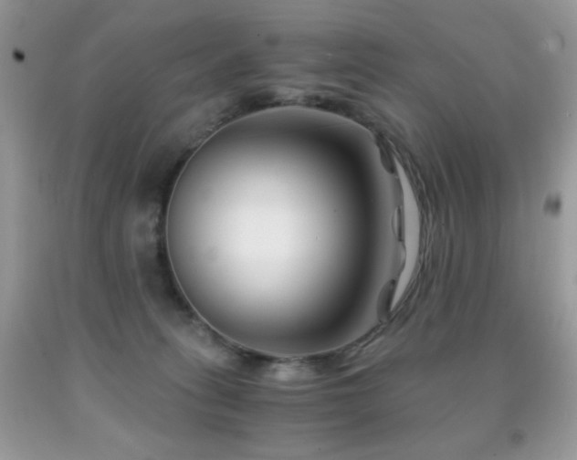 X0000092020275200709061559
