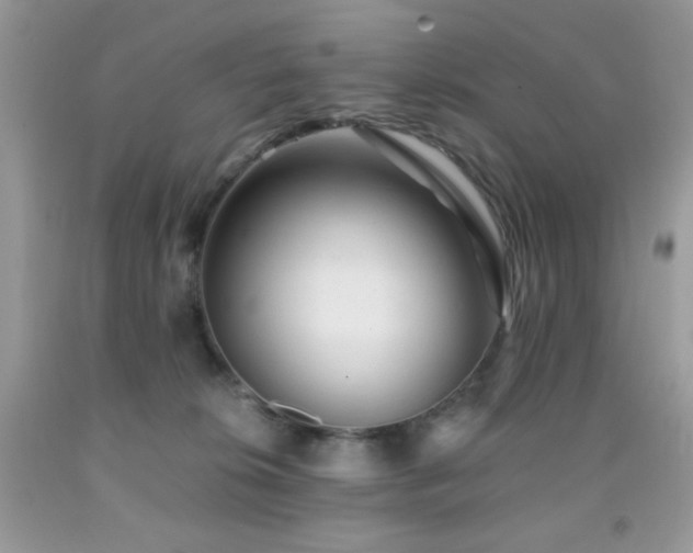 X0000092020276200709061559
