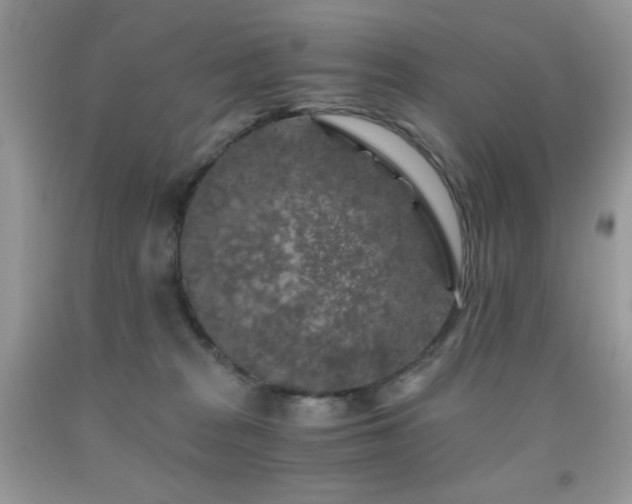 X0000092020277200709061559