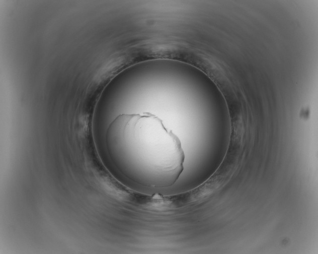 X0000092020278200709061559