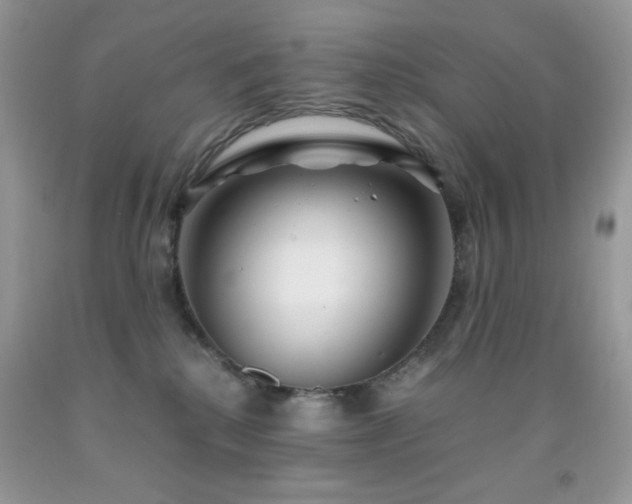 X0000092020280200709061559