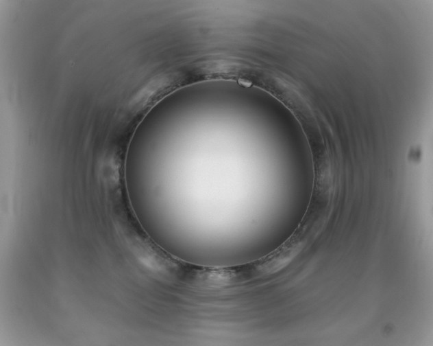 X0000092020282200709061559