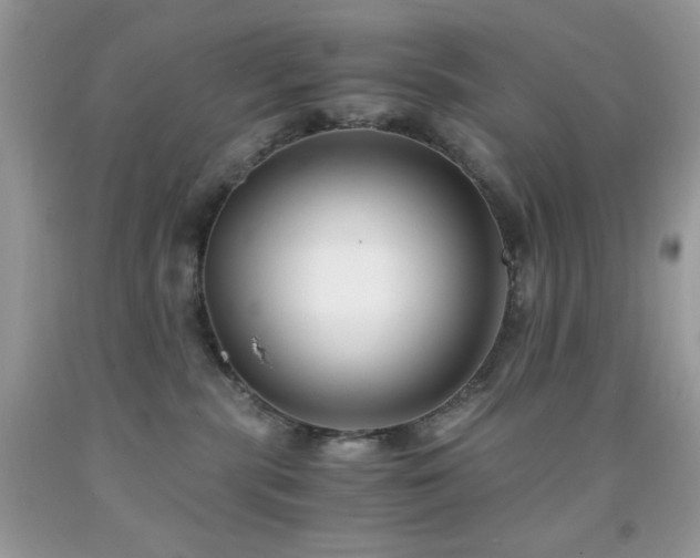 X0000092020283200709061559