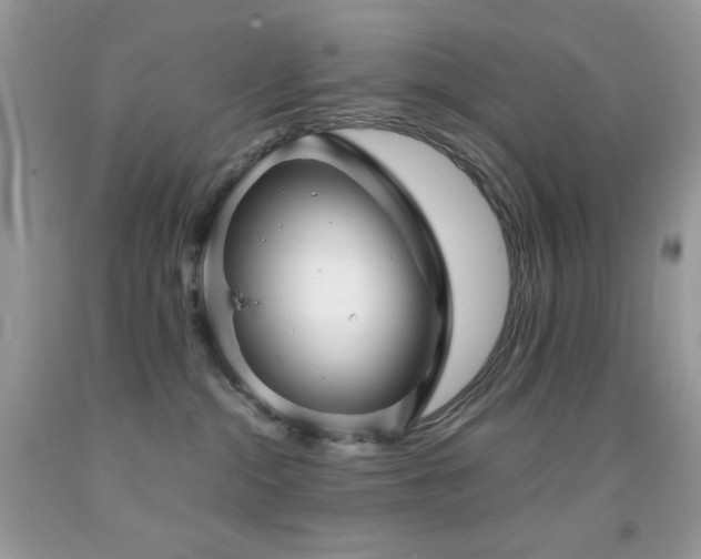 X0000092020284200709061559