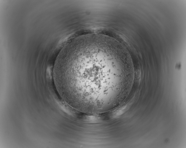 X0000092020286200709061559