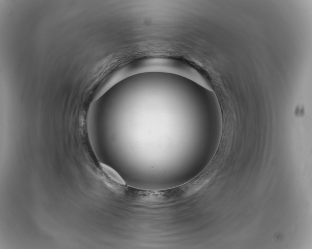 X0000092020288200709061559