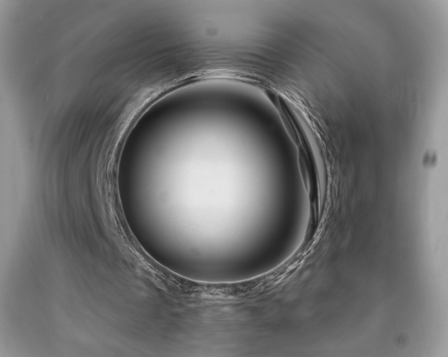 X0000092020289200709061559