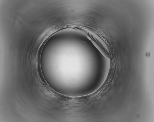 X0000092020290200709061559