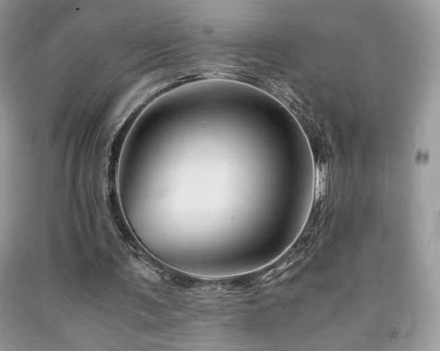 X0000092020291200709061559
