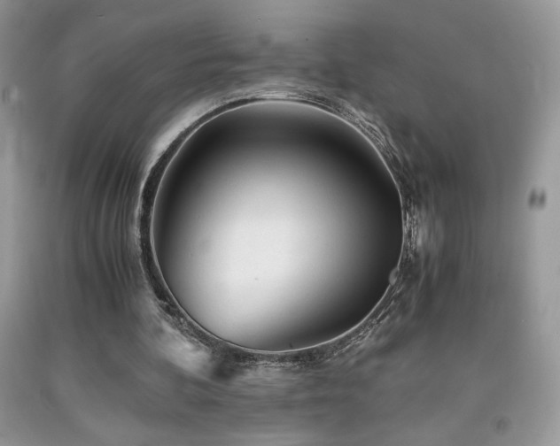 X0000092020292200709061559