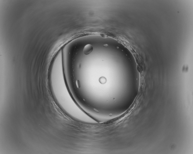 X0000092020293200709061559