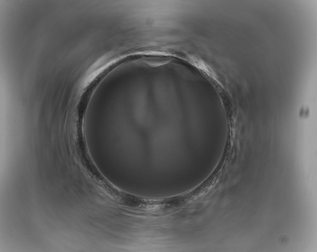 X0000092020295200709061559