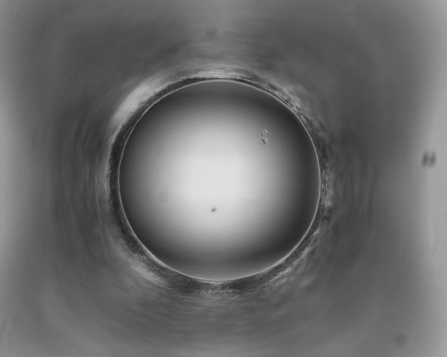 X0000092020296200709061559
