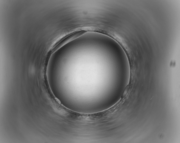 X0000092020297200709061559