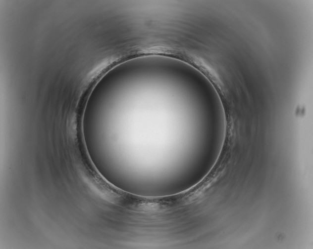 X0000092020298200709061559