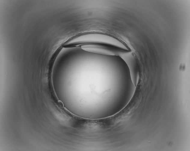 X0000092020299200709061559