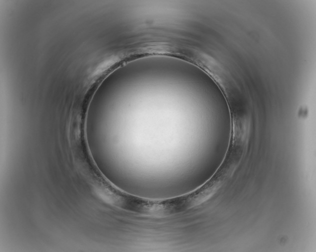 X0000092020301200709061559